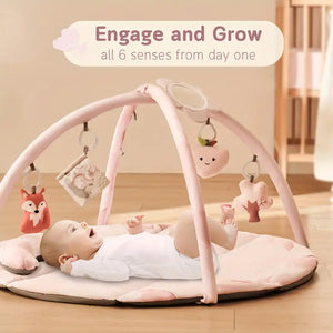 Baby Play Gym & Activity Mat