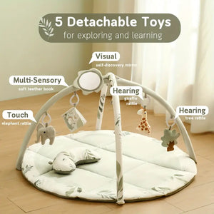Baby Play Gym & Activity Mat