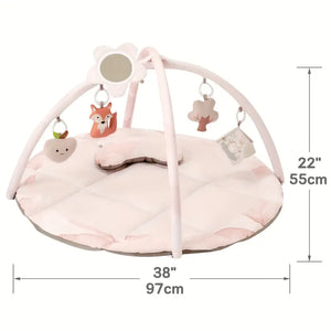 Baby Play Gym & Activity Mat